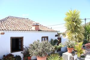 Ogród w obiekcie Casitas La Montañita