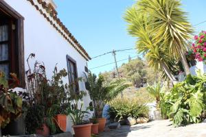 Ogród w obiekcie Casitas La Montañita