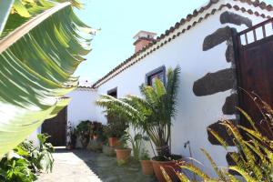 Ogród w obiekcie Casitas La Montañita