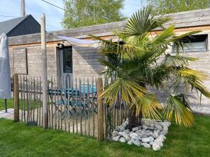 a palm tree in a yard next to a fence at L'appartement de la Baie d'Authie in Fort-Mahon-Plage