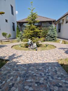 Zahrada ubytování Sunshine Apartments