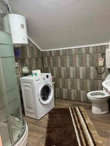 a bathroom with a washing machine and a toilet at Apartman Salus in Tuzla