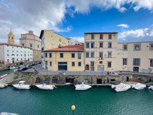 a group of boats docked in a harbor with buildings at Portrait of Livorno in Livorno