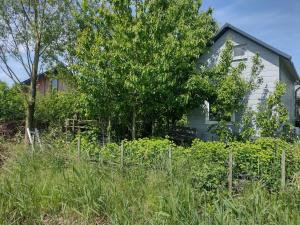 Galería fotográfica de Tuinhuisje in het groen en Almere