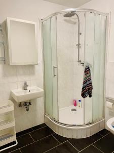 a bathroom with a shower and a sink at Easy Home Apartment in Seevetal