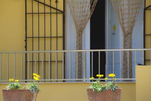 A balcony or terrace at B&B Fiori Gialli Caucana