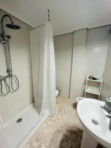 a bathroom with a shower and a sink and a toilet at Apartamento El Arenal - Free Parking in Córdoba