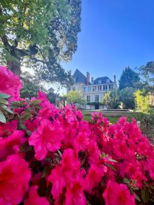 a bunch of pink flowers in front of a house at Demeure de Flore - Hôtel Particulier au Cœur de Brive comprenant 8 appartements de charme in Brive-la-Gaillarde