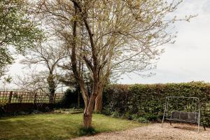 a bench sitting next to a tree in a yard at Rodham House, Fenland Retreats at Willow Grange Farm in Cambridge