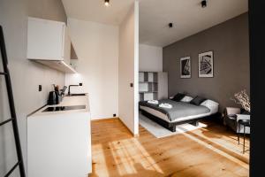 Kuchyňa alebo kuchynka v ubytovaní Piano apartments - LICITY