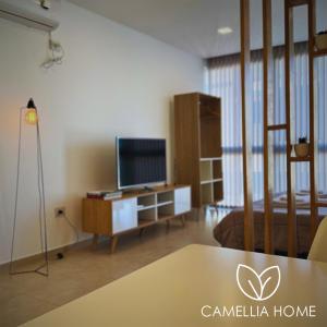 a living room with a table and a tv at C A M E L L I A - H O M E in Cipolletti