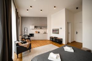 Kuchyňa alebo kuchynka v ubytovaní Piano apartments - LICITY