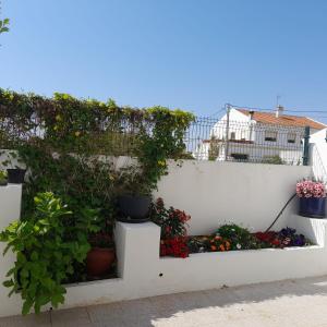 a white wall with potted plants on it at CASA DOS 2 PÁTIOS by Stay in Alentejo in Vila Nova de Milfontes