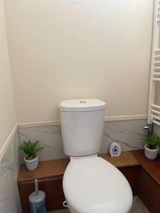 a white toilet in a bathroom with two potted plants at Stunning 1 Bedroom Home in Southend-on-Sea