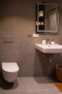 uma casa de banho com um WC e um lavatório em Apartment in Kesterciems em Ķesterciems