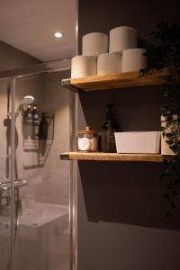 ein Badezimmer mit einer Dusche und einem Regal mit Handtüchern in der Unterkunft Apartment in Kesterciems in Ķesterciems