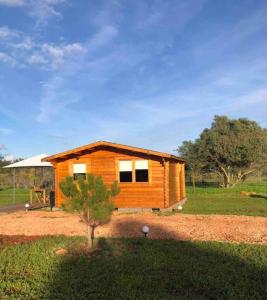 una pequeña casa de madera en un campo con un árbol en Quinta campò chalet, en Alcantarilha