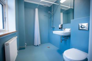 Skovsgård Hotel في Brovst: حمام ازرق مع مرحاض ومغسلة