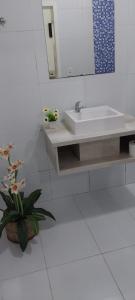 a bathroom with a sink and a potted plant at Pousada Colina do Sol in Ametista do Sul