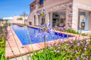 Бассейн в Mar da Luz Resort или поблизости