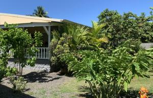 Pare LODGE TAHITI外面的花园