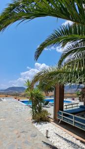 una palmera en una playa con piscina en B&B Casa Loré D'or en Alora