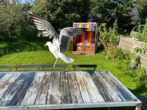 ภาพในคลังภาพของ Norddorf Hideaway-Ruhige Ferienwohnung auf Amrum ในนอร์ดดอร์ฟ