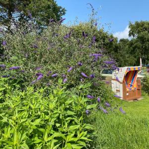 สวนหย่อมนอก Norddorf Hideaway-Ruhige Ferienwohnung auf Amrum +2 ภาพ