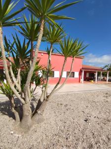 a group of palm trees in front of a red building at CASA DA DUNA - Salir do Porto in Salir do Porto