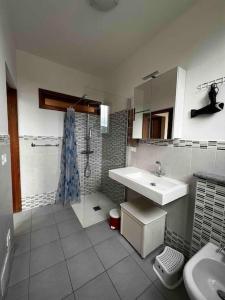 een badkamer met een wastafel, een douche en een toilet bij La Casa Del Sole in Graglia