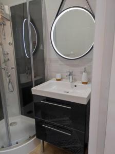 a bathroom with a sink and a mirror at Studio de charme indépendant in Belin-Beliet