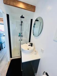 a bathroom with a sink and a mirror on the wall at Surla Houseboat "De Albatros" in Monnickendam Tender included in Monnickendam