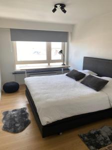 Un dormitorio con una cama grande y una ventana en Le Sable Doux - Gent, en Gante