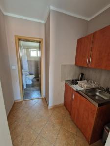 a kitchen with a sink and a toilet in a room at Guest House Damjana in Budva