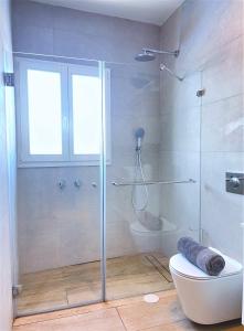 特拉維夫的住宿－TEL AVIV - Sea front Penthouse - 1604，一间带玻璃淋浴和卫生间的浴室