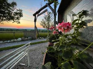 A garden outside La Valle dei Vigher