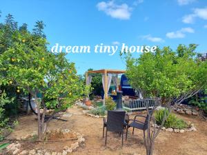 a garden with orange trees and a dream tiny house at Dream Tiny House or Luxus Tent with pool in Chania