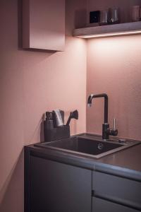 Kuchyň nebo kuchyňský kout v ubytování Rousa little guesthouse Cosy Plus