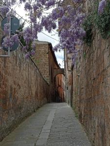 Fotografie z fotogalerie ubytování Il Vantaggio v destinaci Bagnoregio