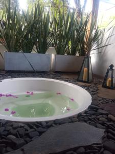 Fotografie z fotogalerie ubytování Hotel Vísperas v destinaci Santa Rosa de Cabal
