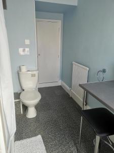 a bathroom with a white toilet in a room at Leeds House Guest House in Bridlington