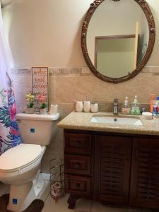 a bathroom with a toilet and a sink and a mirror at Mini Cozy Lodging in Culloden