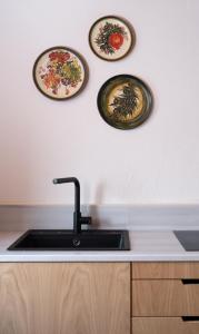 Kuchyň nebo kuchyňský kout v ubytování Kalnterimi Guesthouses + 19 fotografií