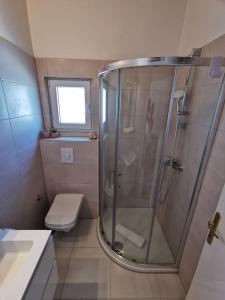 a bathroom with a shower and a toilet at Apartmani Vana 1 in Tribunj