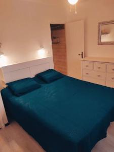1 dormitorio con 1 cama azul grande en una habitación en Maison de village type 2 en Sainte-Croix-de-Verdon