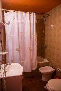 a bathroom with a shower curtain and a toilet and a sink at Las Quintas El Bolsón in El Bolsón