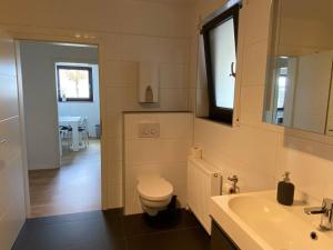 bagno con servizi igienici, lavandino e finestra di Terrassenwohnung in Siegburg a Siegburg