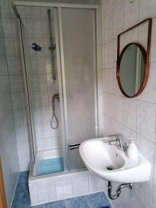 uma casa de banho com um lavatório e um chuveiro em Ferienwohnung 1 Am Park em Divitz