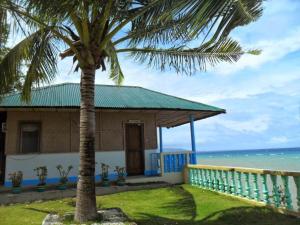 a house with a palm tree in front of the ocean at Karlsson's Guesthouse in Larena