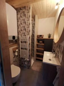 a bathroom with a toilet and a sink and a shower at Studio cocooning Betschdorf in Oberbetschdorf